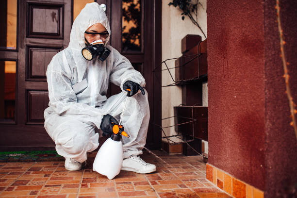 Reliable Wasp Removal contractor in Harrington, DE by Show Me Pest Control